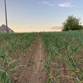 Rodinná farma Mašovice