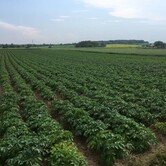 Rodinná farma Mašovice