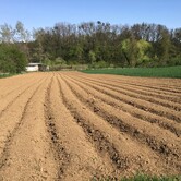 Rodinná farma Mašovice