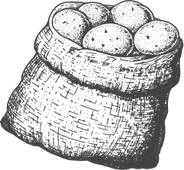 Prodej brambor Znojmo