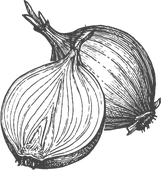 Prodej cibule Znojmo